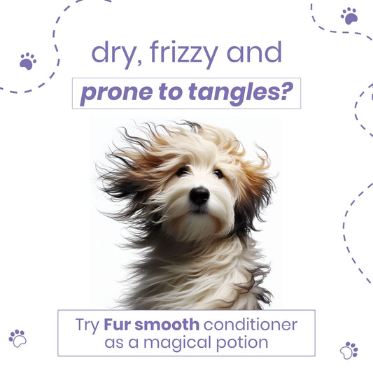 Poodle Furr Smooth Dog Conditioner with Coconut Oil & Oatmeal | Soft & Shiny Coat | Detangles & Reduces Shedding | Paraben-Free & Vegan | For All Dog Breeds | 200 ml