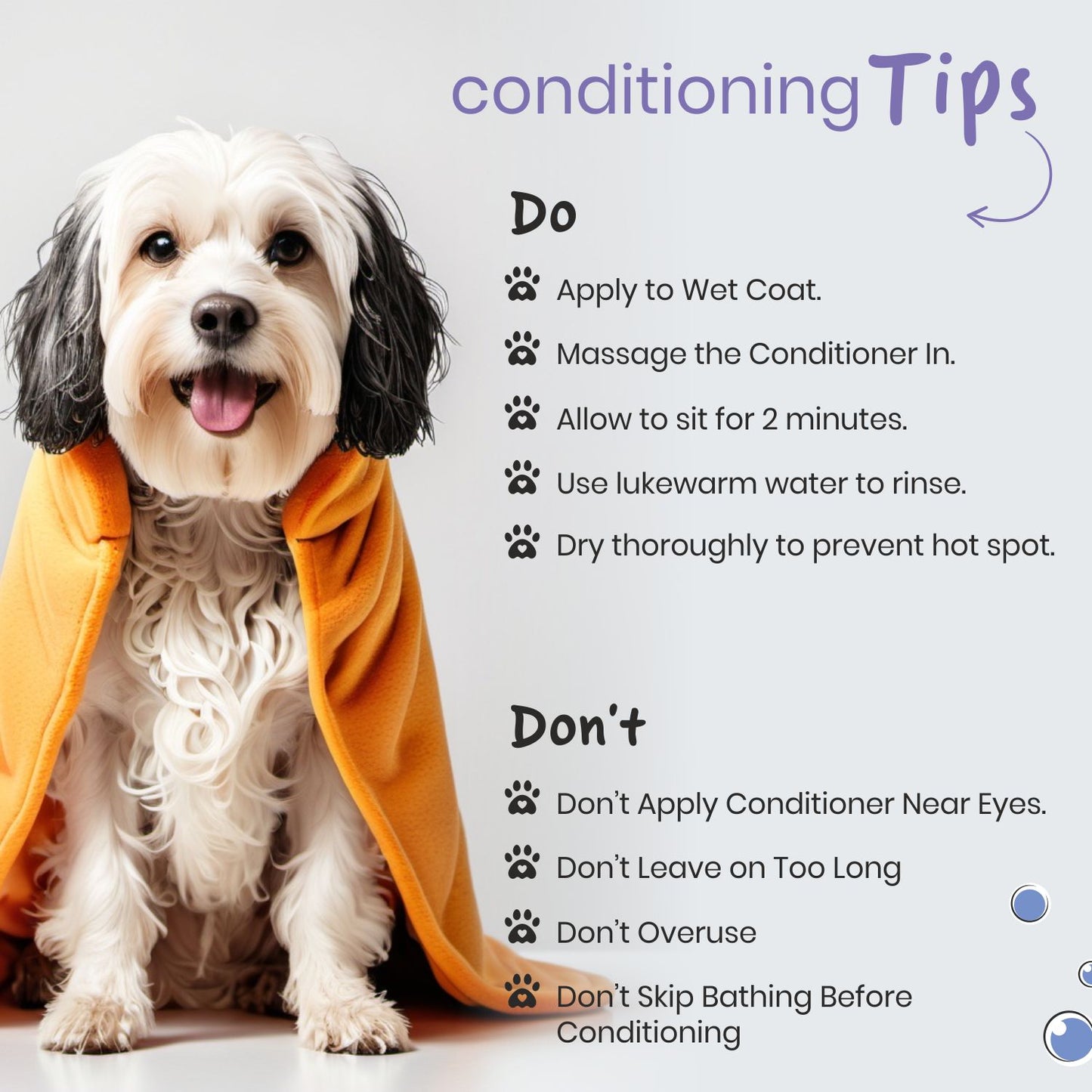 Poodle Furr Smooth Dog Conditioner with Coconut Oil & Oatmeal | Soft & Shiny Coat | Detangles & Reduces Shedding | Paraben-Free & Vegan | For All Dog Breeds | 200 ml