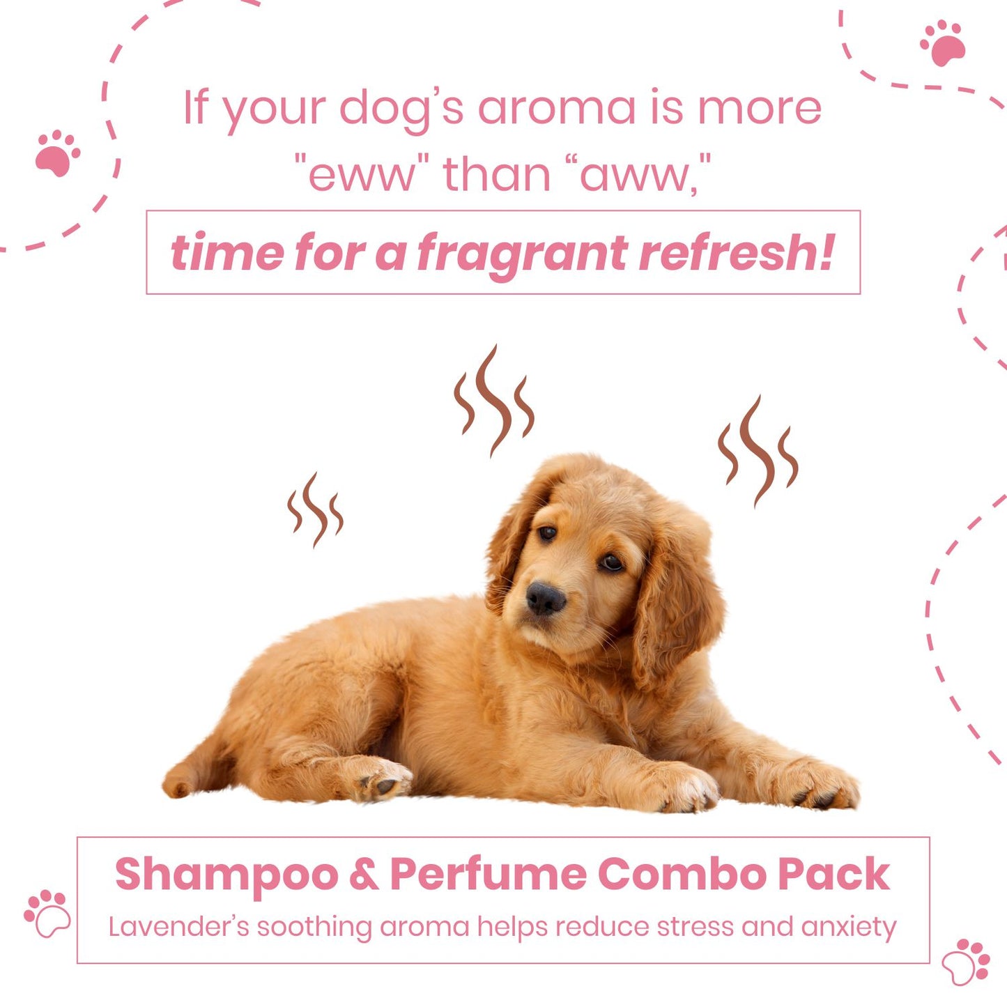Poodle 5-in-1 Dog Shampoo with Coconut Oil & Oatmeal (300ml) + Doggy Fresh Cologne Spray with Coconut & Lavender Oil (200ml) | Cleanses, Deodorizes, Detangles & Moisturizes | No Toxins, Paraben-Free