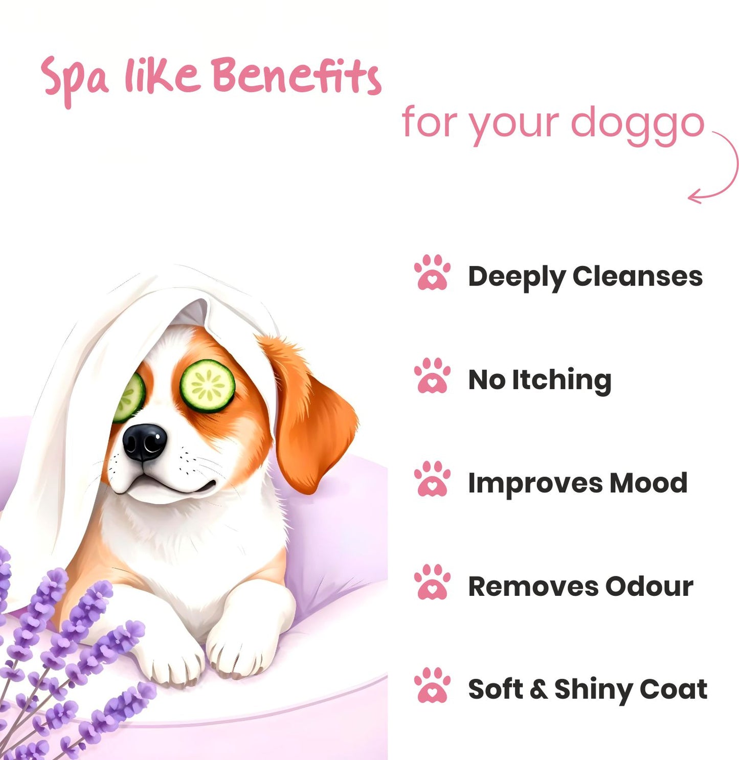 Poodle 5-in-1 Dog Shampoo with Coconut Oil & Oatmeal (300ml) + Doggy Fresh Cologne Spray with Coconut & Lavender Oil (200ml) | Cleanses, Deodorizes, Detangles & Moisturizes | No Toxins, Paraben-Free