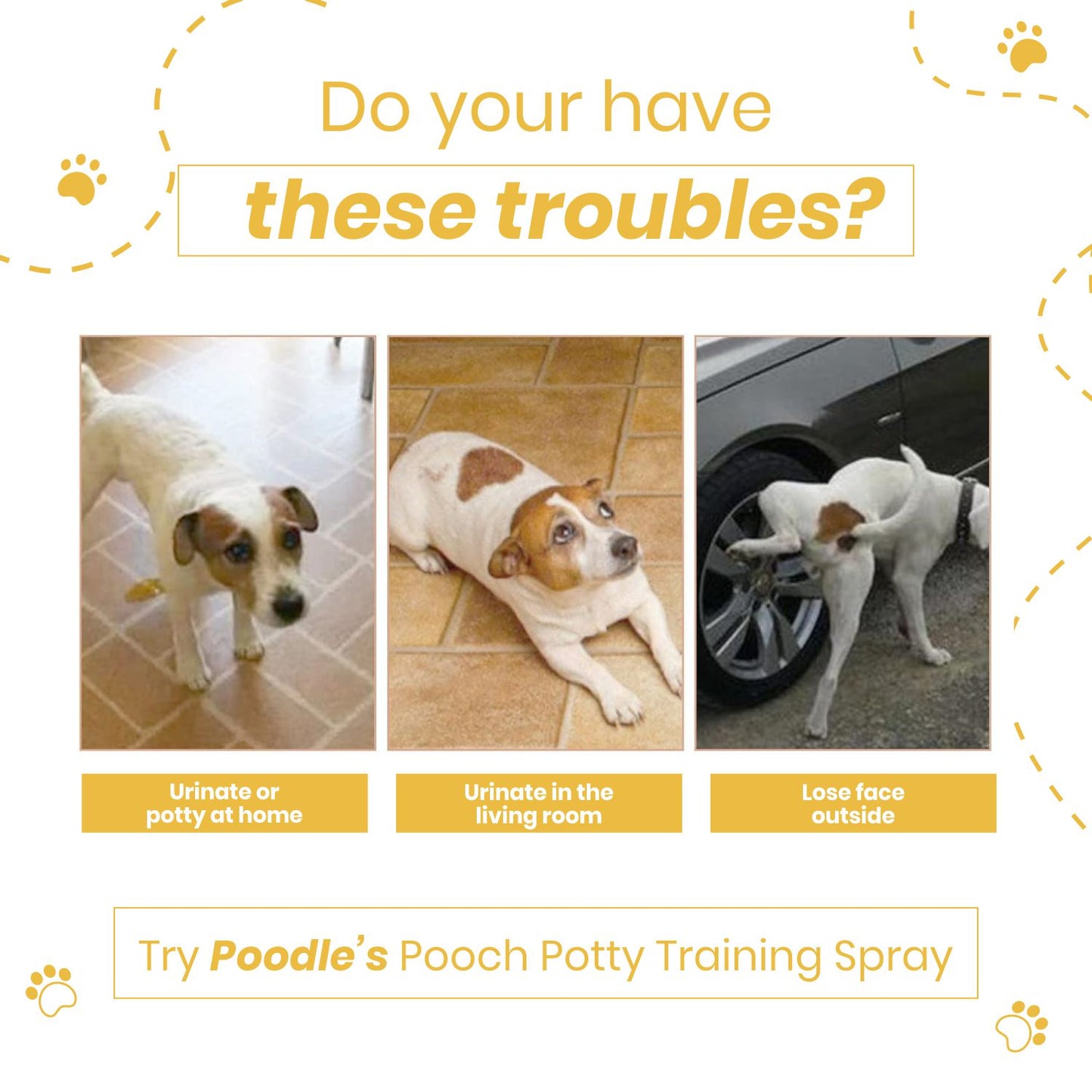 Poodle Potty Training Spray for Dogs | 200ml | Puppy Potty Training Aid, Dog Potty Spray for Indoor & Outdoor Use, Pet Toilet Training Spray for Puppies & Adult Dogs – Pack of 1