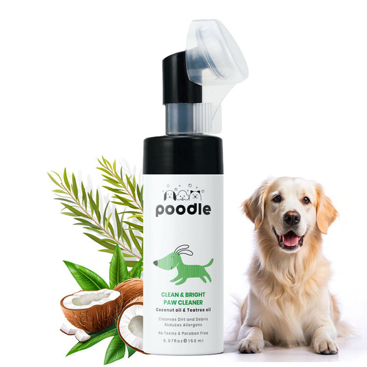 Poodle Clean & Bright Paw Cleaner for Dogs | No-Rinse Foaming Wash with Coconut Oil | Lick-Safe, Quick Dry, Moisturizing & Deodorizing Paw Cleanser | All Breeds | Softens and Protects | 150ml