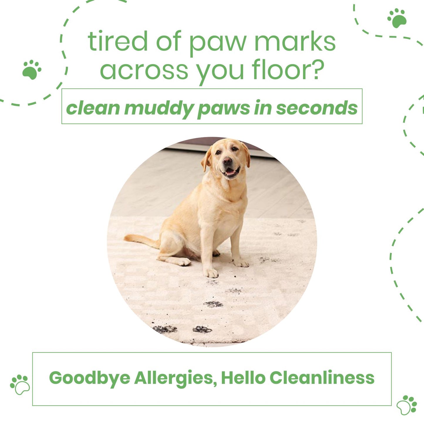 Poodle Clean & Bright Paw Cleaner for Dogs | No-Rinse Foaming Wash with Coconut Oil | Lick-Safe, Quick Dry, Moisturizing & Deodorizing Paw Cleanser | All Breeds | Softens and Protects | 150ml