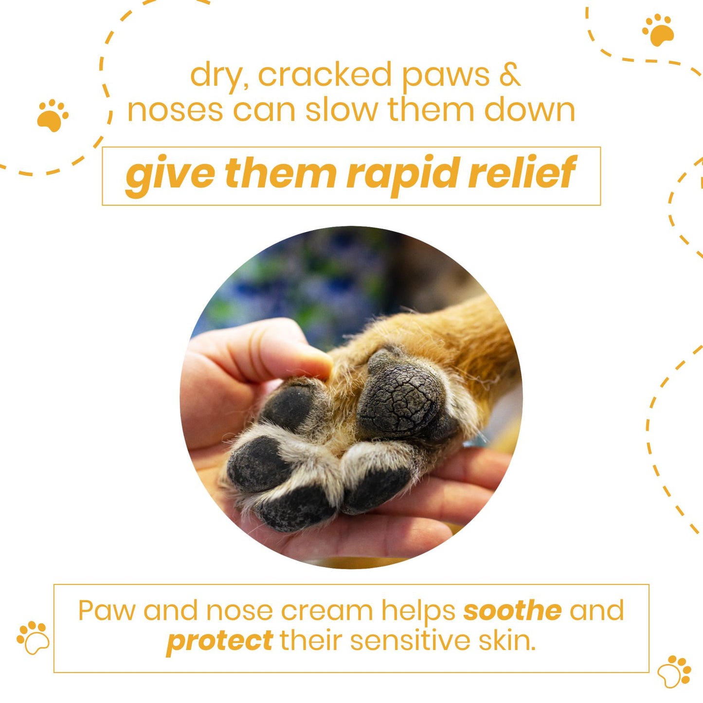 Poodle Nose & Paw Nourishing Cream | Coconut Oil & Shea Butter | Natural Lick Safe | Soother & Moisturizer for Cracked Dry & Damaged Paws, Nose & Elbows | Snout Soother for Dogs | 50gm