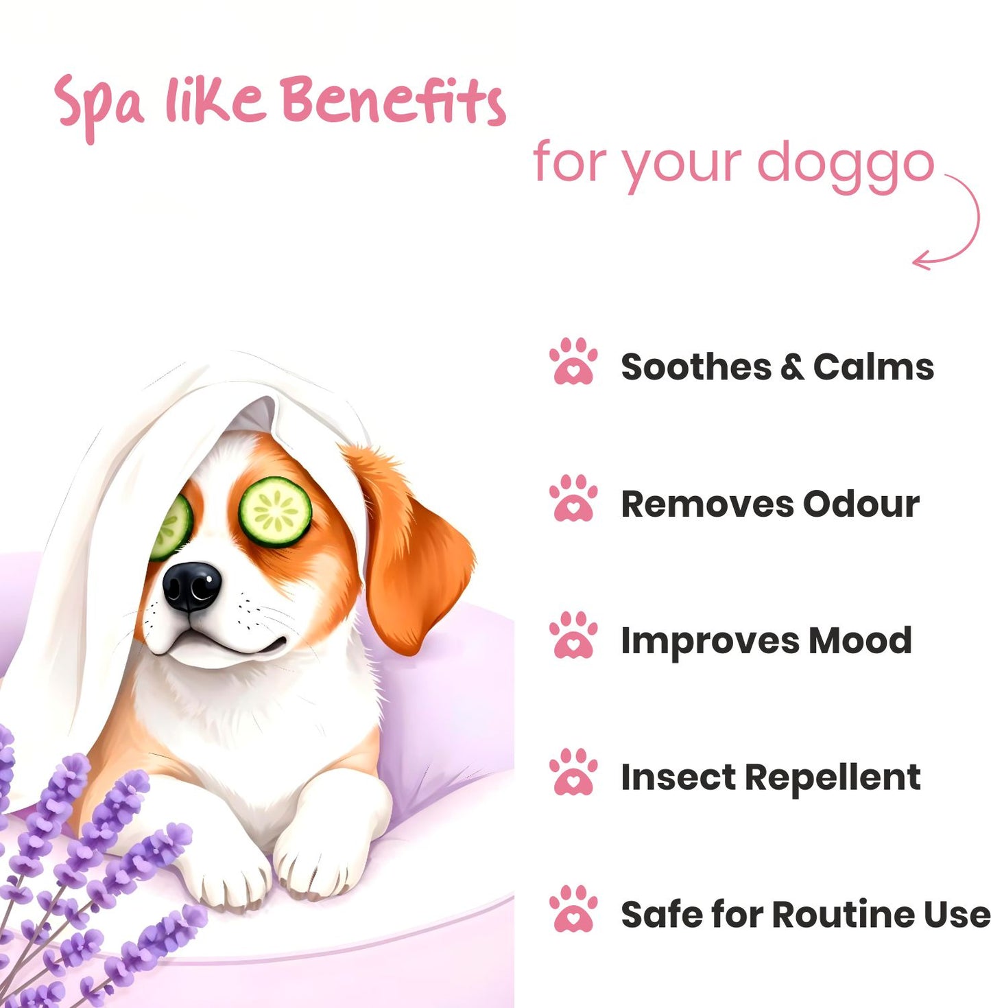 Poodle Doggy Fresh Cologne Spray | Coconut & Lavender Oil | Dog Perfume | 200 ml