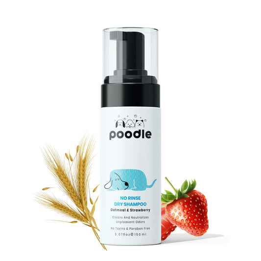 Poodle No Rinse Dry Bath Shampoo | for Dogs | Waterless | Oatmeal & Strawberry, 150 ml