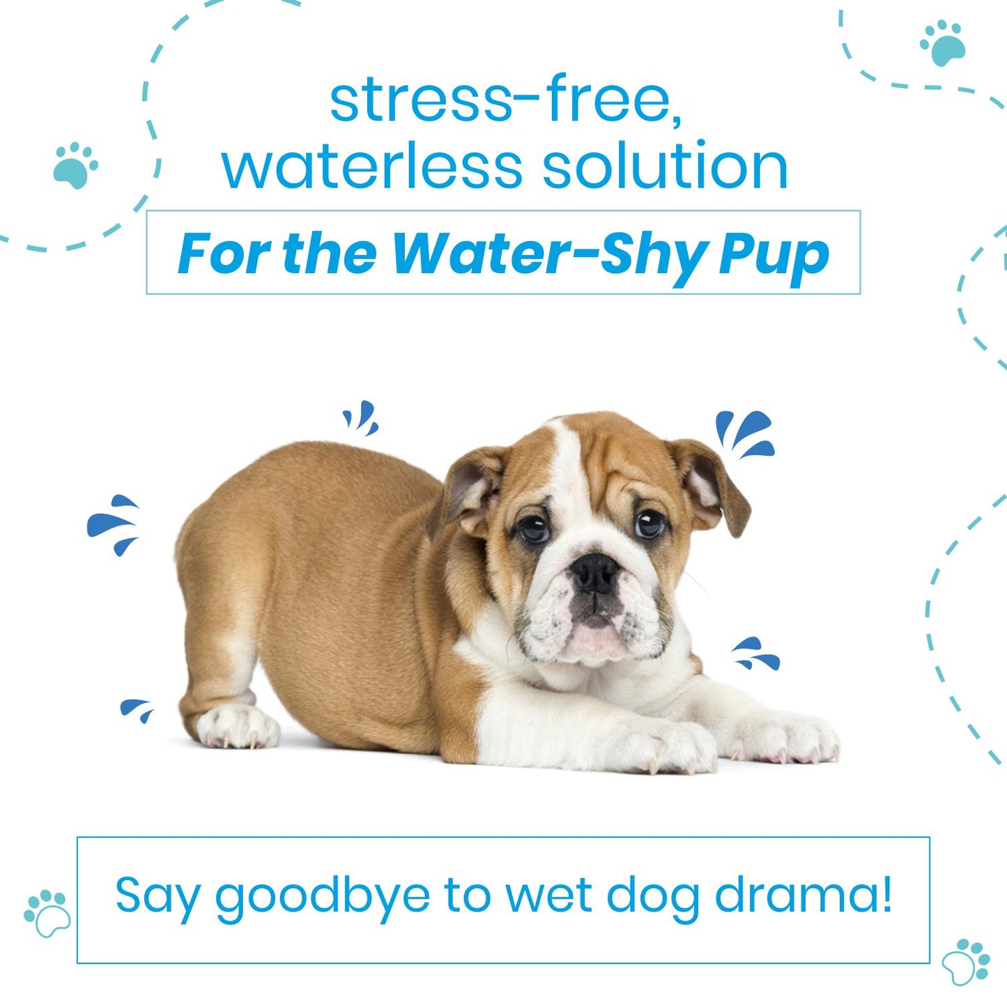 Poodle No Rinse Dry Bath Shampoo | for Dogs | Waterless | Oatmeal & Strawberry, 150 ml