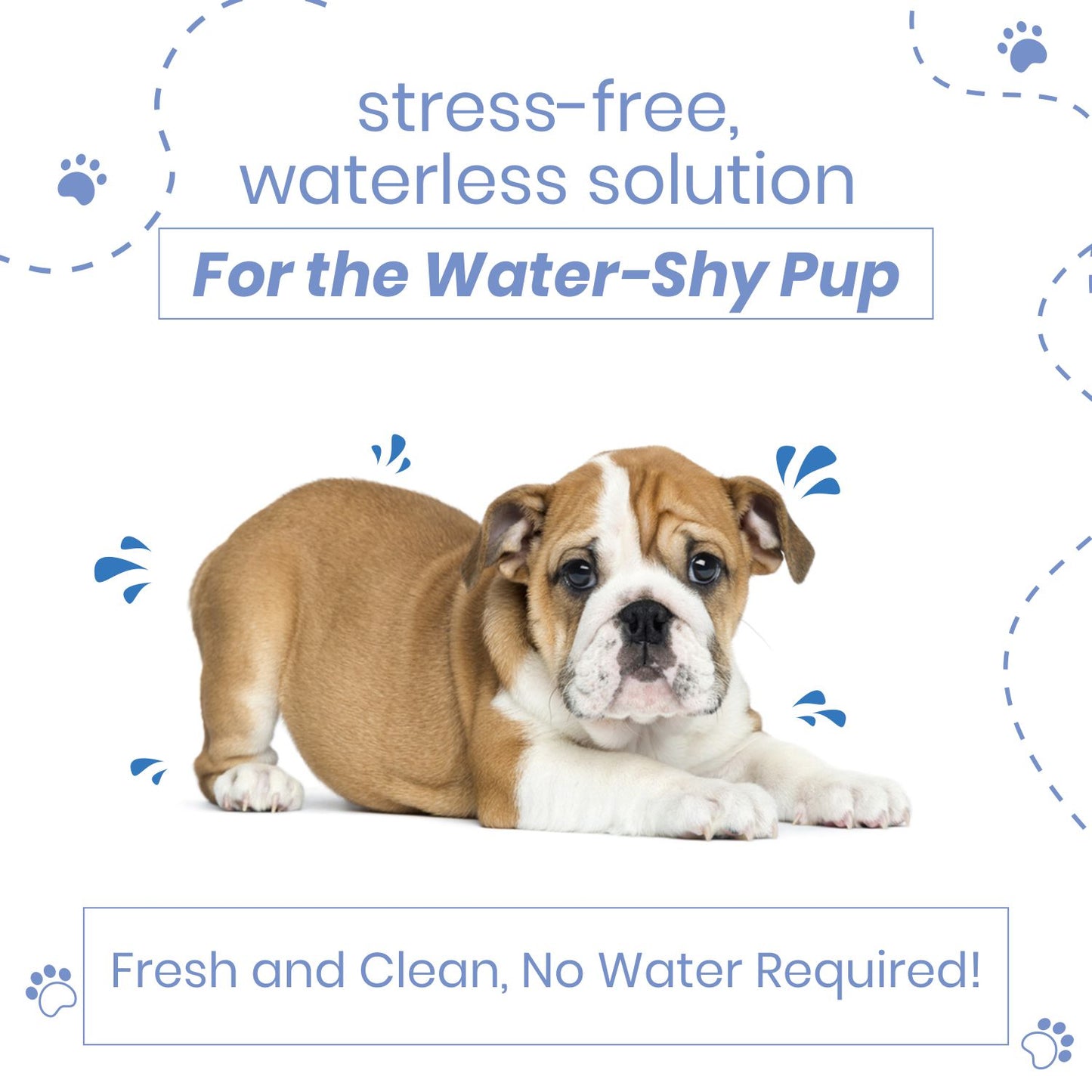 Poodle Quick Fresh Dry Bath Spray | Waterless | Natural Coconut Oil & Shea Butter 200 ml Pet Coat Cleanser (Suitable For Dog)