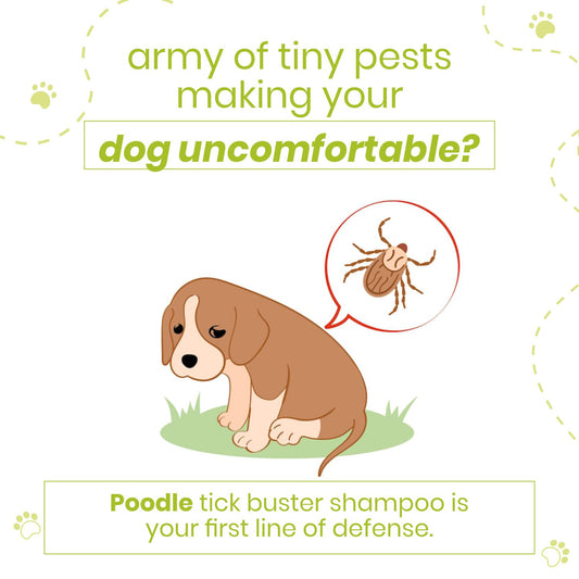 Poodle Tick Buster Dog Shampoo 300ml - Anti Itch Tick and Flea | Herbal Neem Formula | Natural and Safe for Puppies & Dogs |  Effective Dog Ticks Shampoo